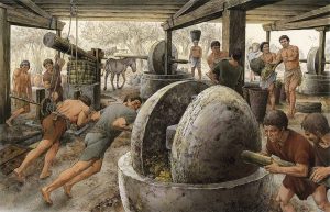 Importancia del aceite de oliva imperio romano